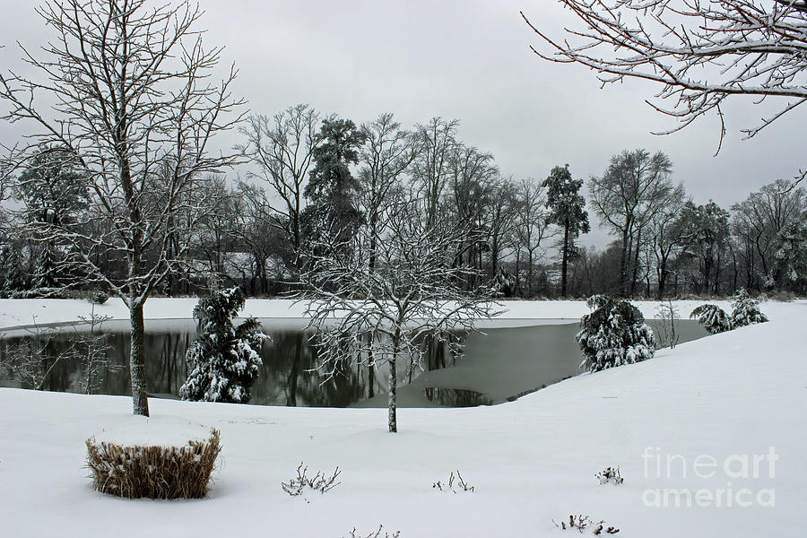 Snow Covered Lanscape Photograph by Roberta Byram