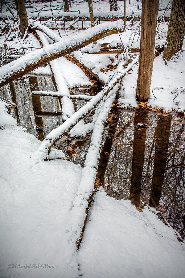 Snow covered logs Photograph by LeeAnn McLaneGoetz McLaneGoetzStudioLLCcom