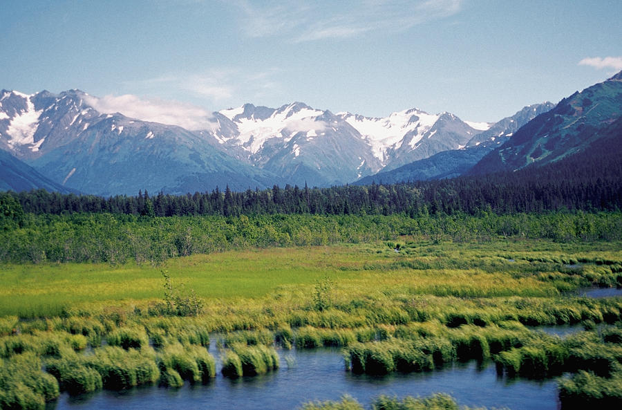 Snow covered mountains and a stream along Alaska highway, Alaska, USA Photograph by Medioimages/Photodisc