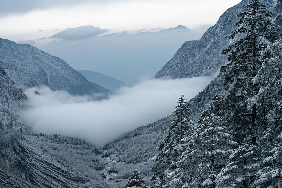 Snow Covered Mountains And Trees Photograph
