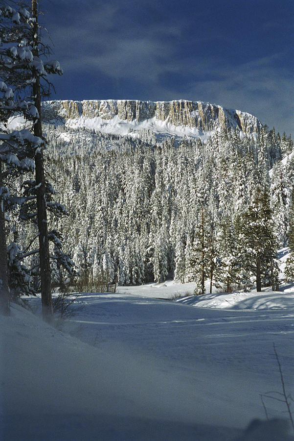 Snow Covered Panorama Dome, Mammoth Lakes, CA Photograph by Bonnie Colgan