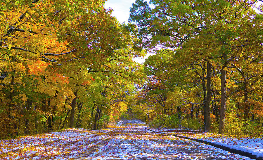 Snow Covered Road In Fall Photograph