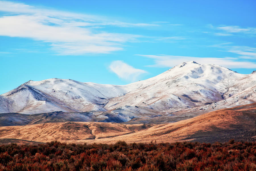 Snow covered rolling hills, Nevada Photograph by Tatiana Travelways