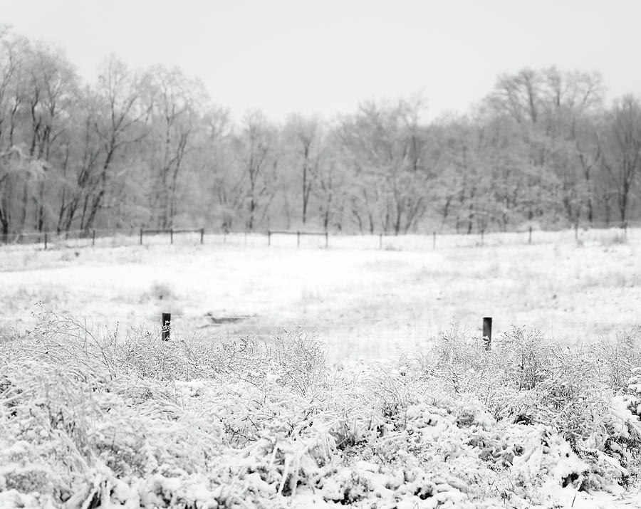 Snow Covered Rural Landscape Photograph by Dan Sproul