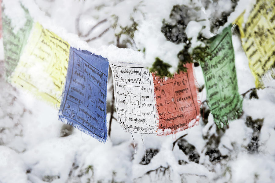 Primary Colors Photograph - Snow Covered Tibetan Prayer Flags by Good Focused