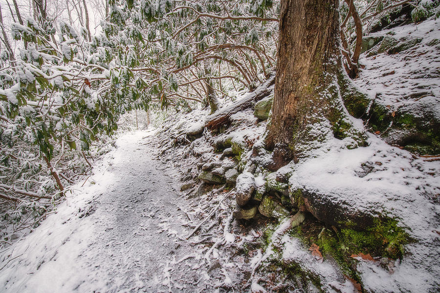 Snow Covered Trail Photograph by Robert J Wagner