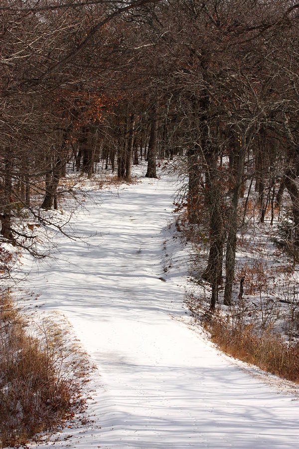 Snow Covered Trail Through the Woods Photograph by Sheila Brown