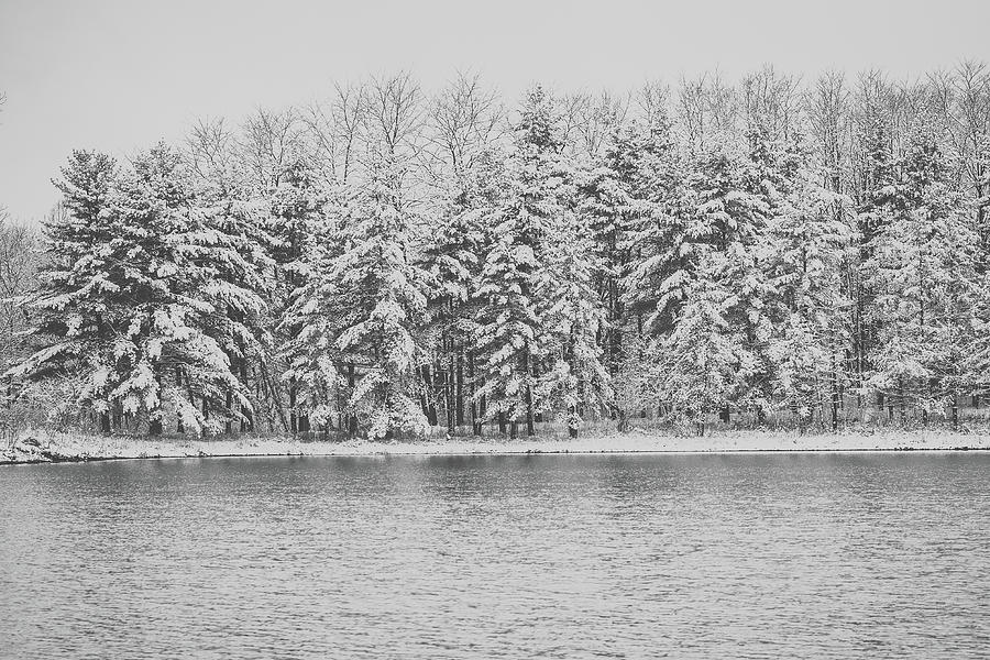 Snow Covered Trees in Black and White Photograph by Joni Eskridge
