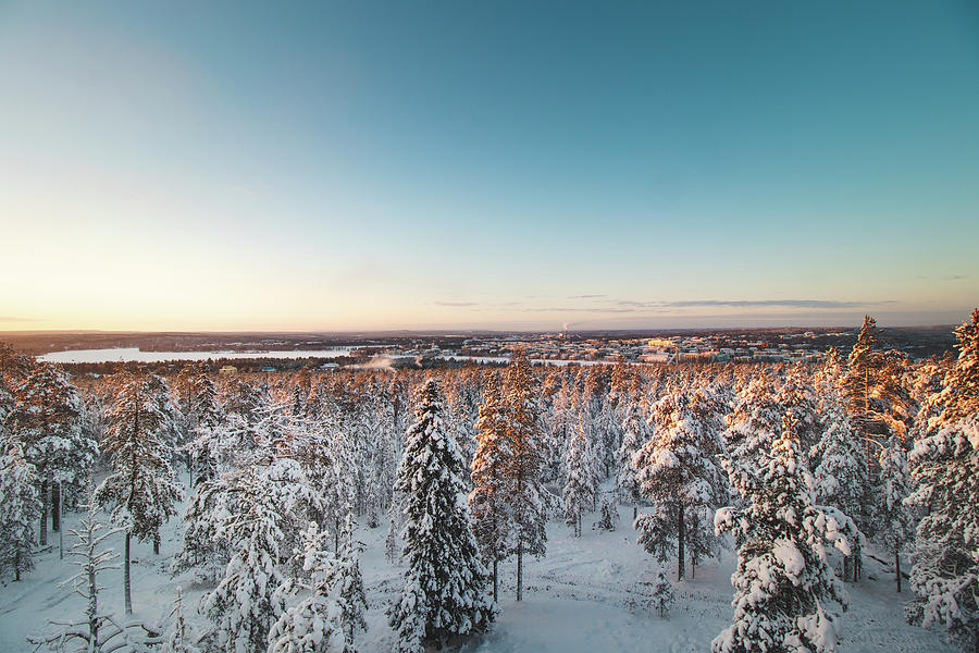 Snow-covered untouched forest during sunset Photograph by Vaclav Sonnek