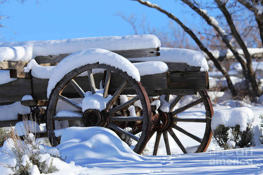 Snow Covered Wagon Photograph by Marty Fancy