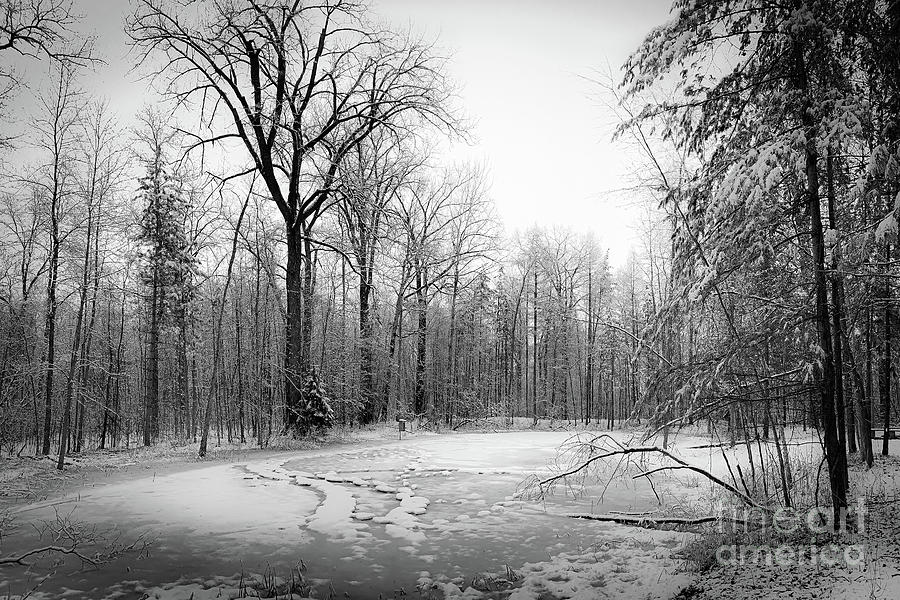 Snow Crusted Pond Photograph