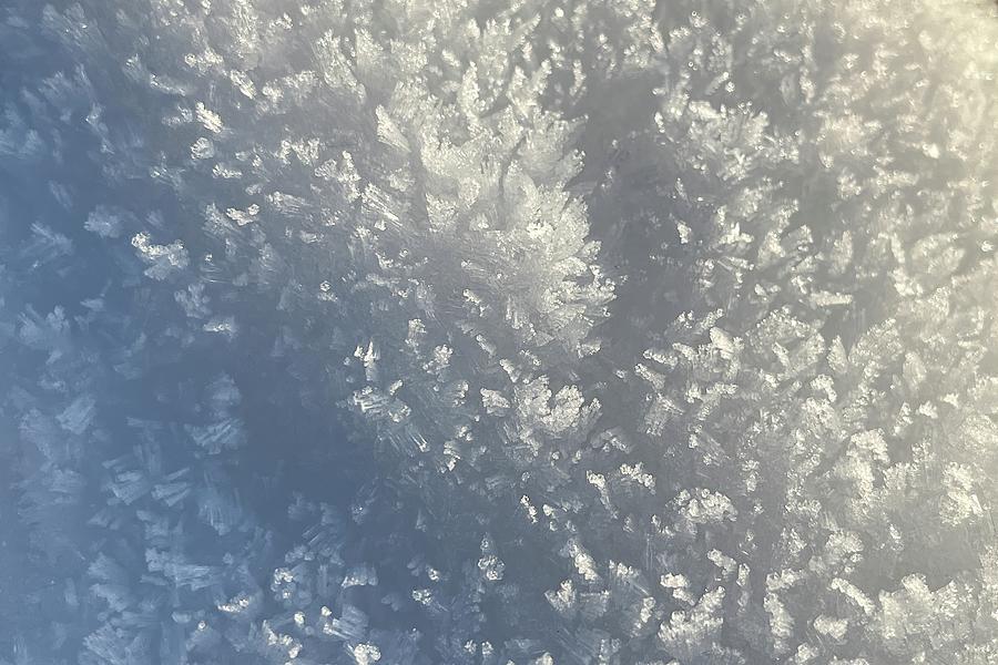 Snow Crystal Sunlight  Photograph by David Pyatt