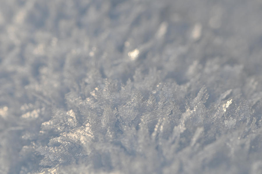 Snow crystals Photograph by JonasBrodd
