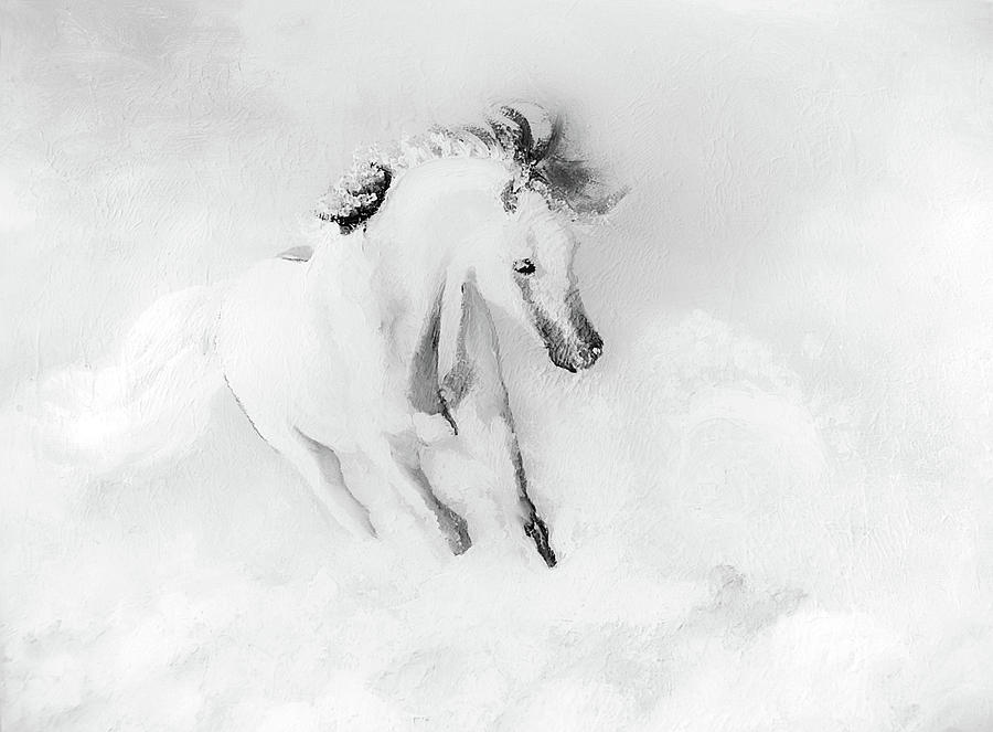 Snow Dancer Digital Art by Sandra Silva