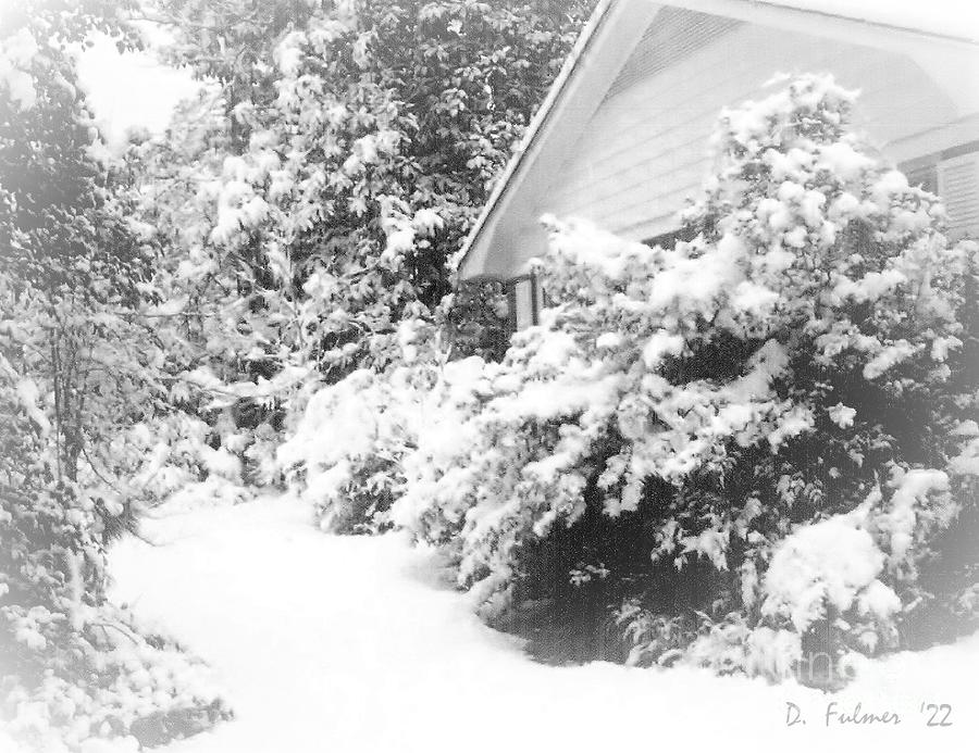 Snow Day  Photograph by Denise F Fulmer