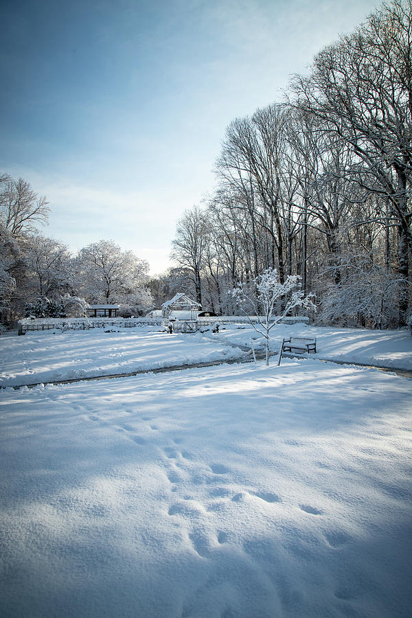 Snow Day Photograph by Glenn Davis