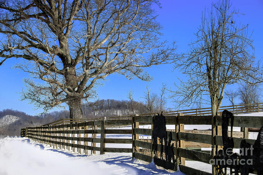 Snow Day in the Country Photograph by Shelia Hunt