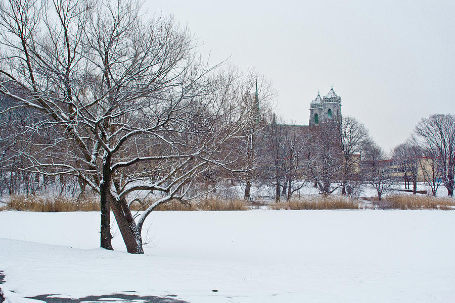 Snow Day in the Park Photograph by Mary Brown