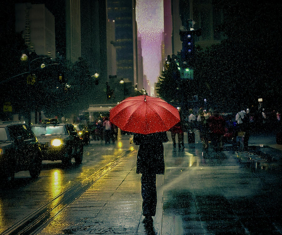 Umbrella Photograph - Snow Day by Pete Federico Umbrella Photograph - Snow Day by Pete Federico