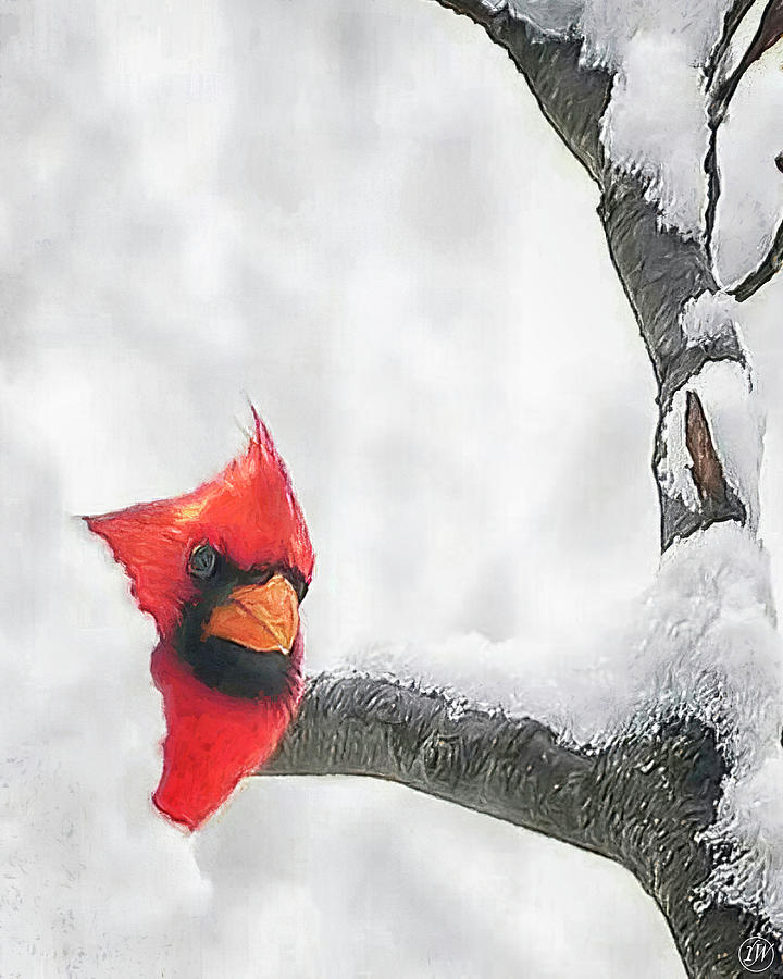 Snow Day by Rick Wiles Snow Day by Rick Wiles