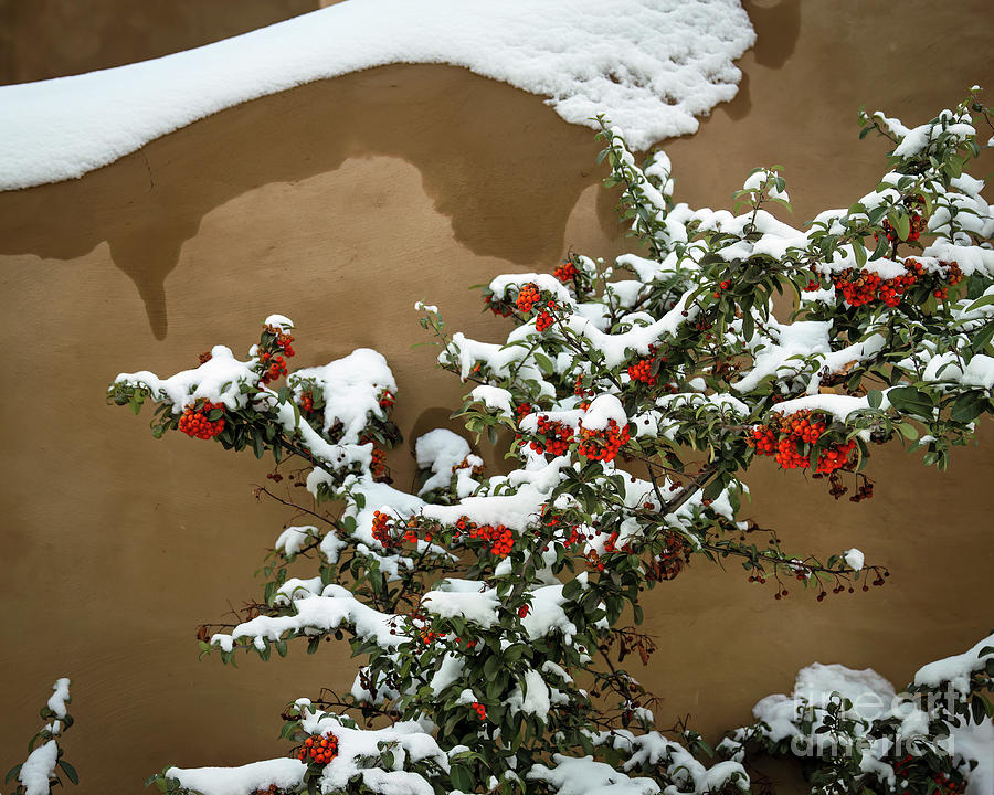 Snow Designs Photograph by Jon Burch Photography