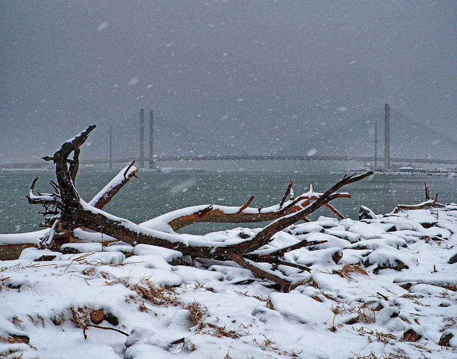 Snow, Driftwood and the Indian River Bridge Photograph by Bill Swartwout