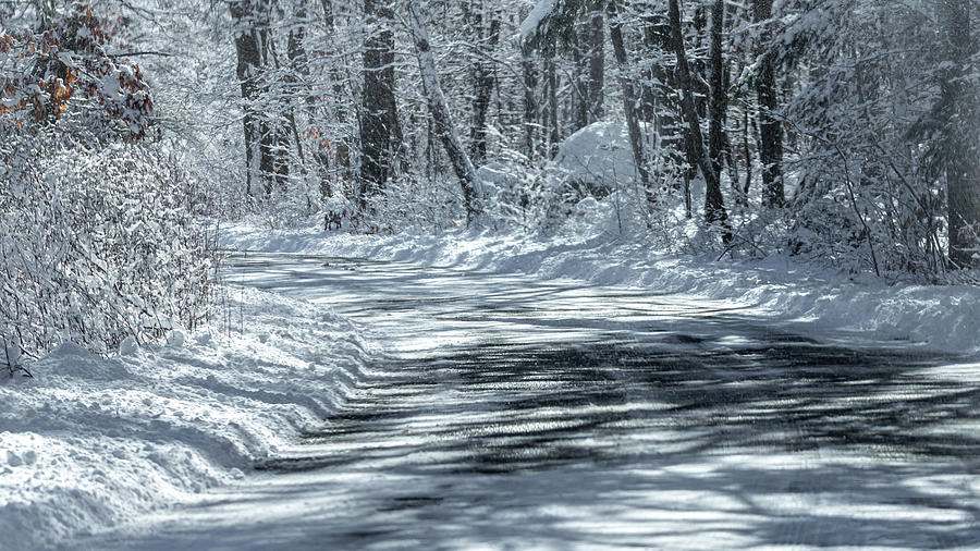 Snow Drive Photograph by William Bretton