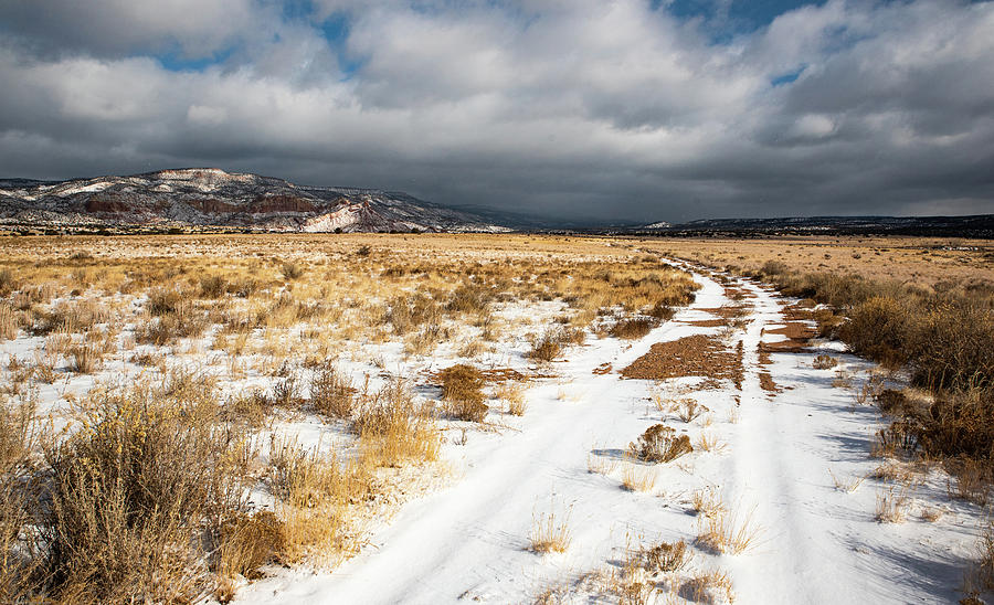 Snow Dusted Ranch Road Photograph by Tom Cochran