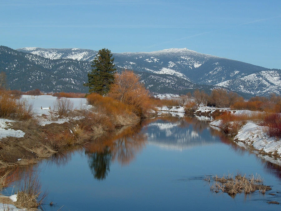 Snow-fed lake - Plumas Co. Photograph by Nancy Aki - Fine Art America