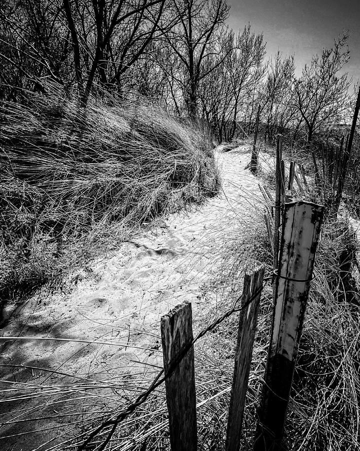 Snow fence  Photograph by Josh Williams