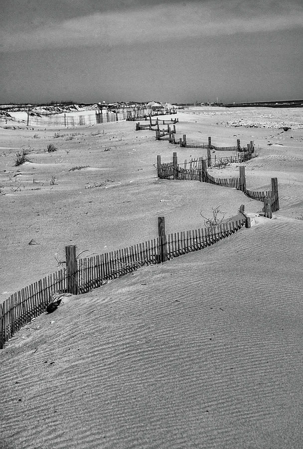 Snow Fence on the Beach Photograph by Alan Goldberg