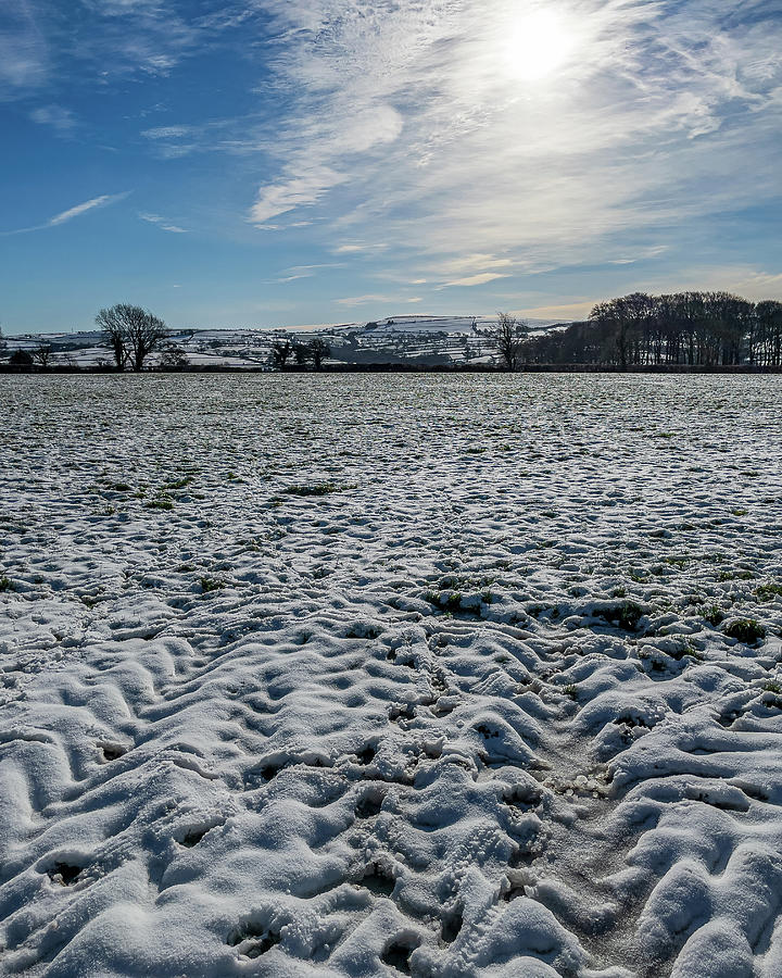 Snow Field, Boncath, Pembrokeshire, Wales, UK Photograph by Mark Llewellyn