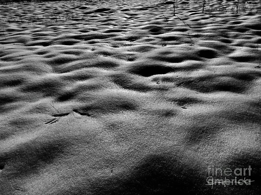 Snow fields  Photograph by Jennifer Lake