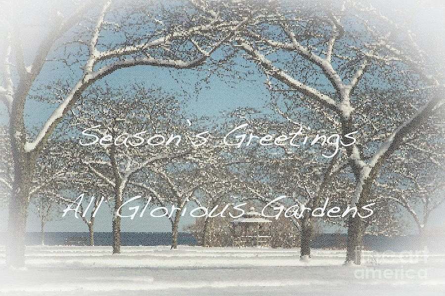 Christmas Photograph - Snow-Filled Seasons Greetings by Marilyn Cornwell