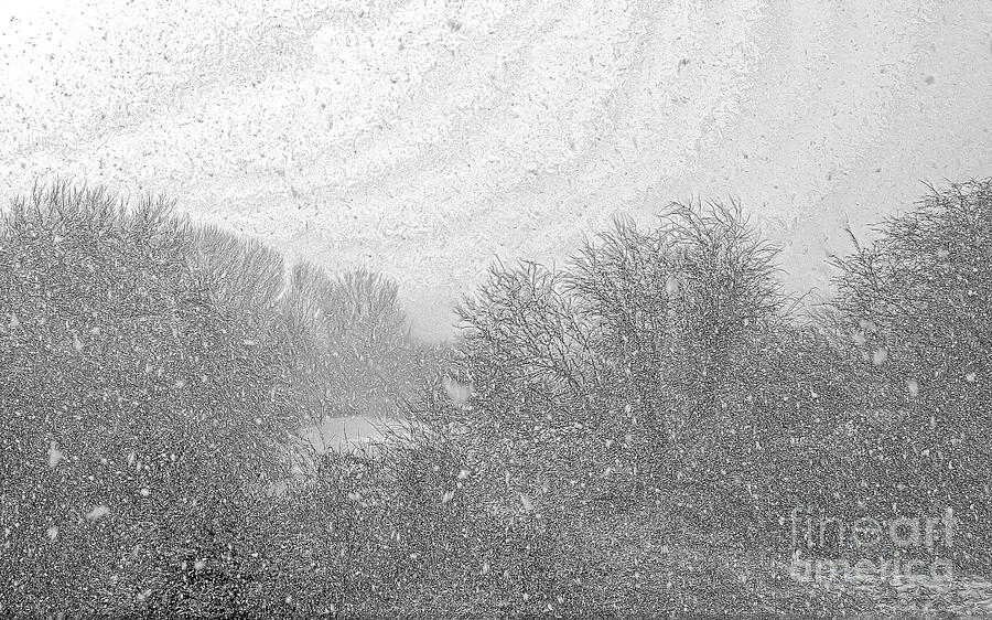 Snow Flurry On The Moor 2, Sketch Effect Photograph