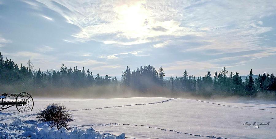 Tree Photograph - Snow Fog Morning  by Gary F Richards