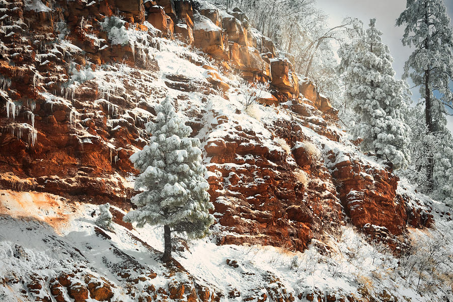 Snow Frosted Red Rocks  Photograph by Saija Lehtonen