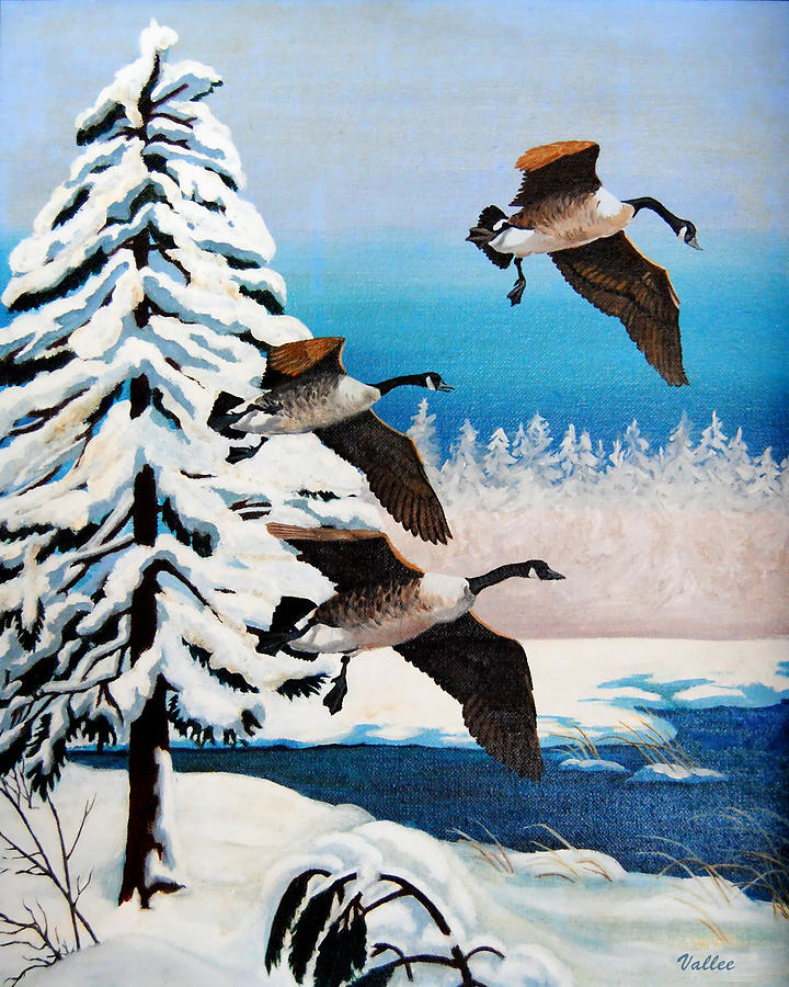 Snow Geese Painting by Vallee Johnson