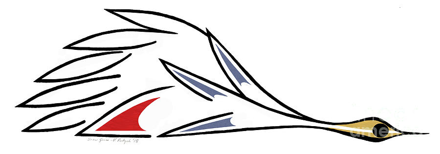 Snow Goose Drawing by Penguin M