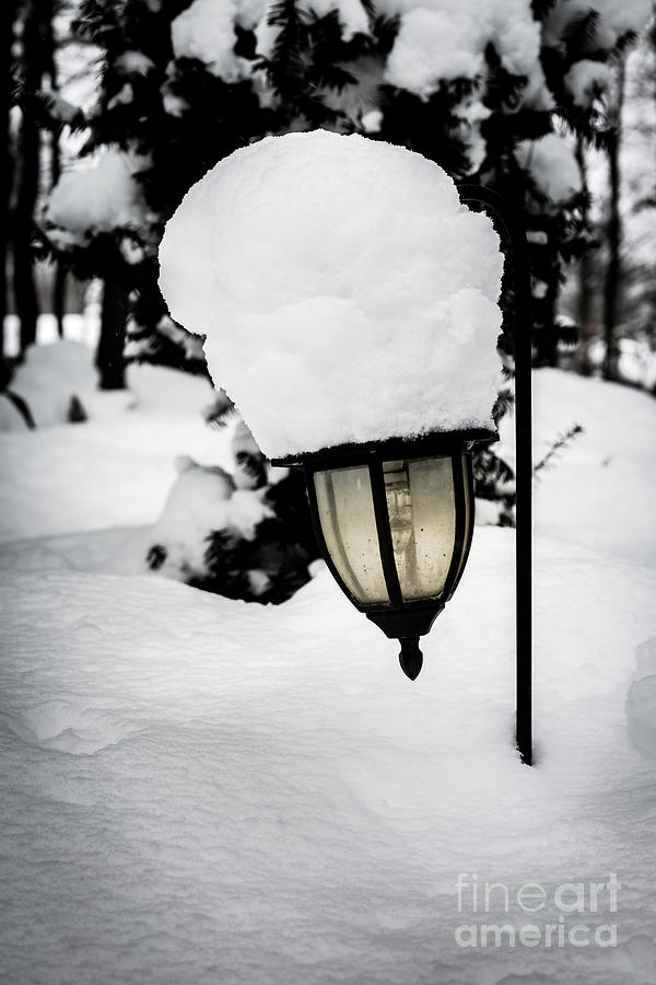 Snow Hat Photograph