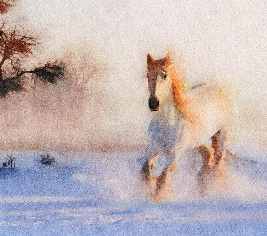 Snow Horse Mixed Media by Ann Leech
