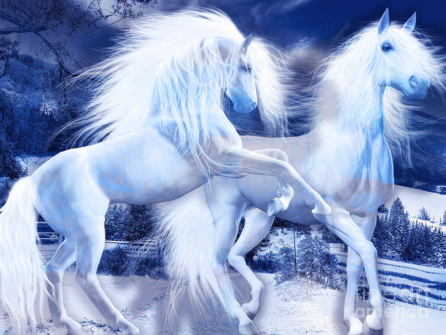 Snow Horses Photograph by Jack Torcello