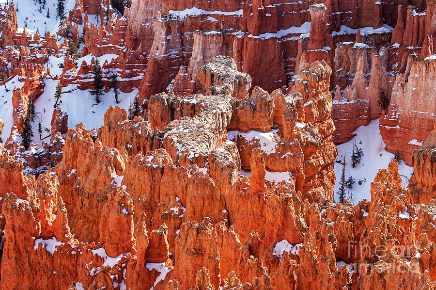 Snow in Bryce Canyon One Photograph by Bob Phillips