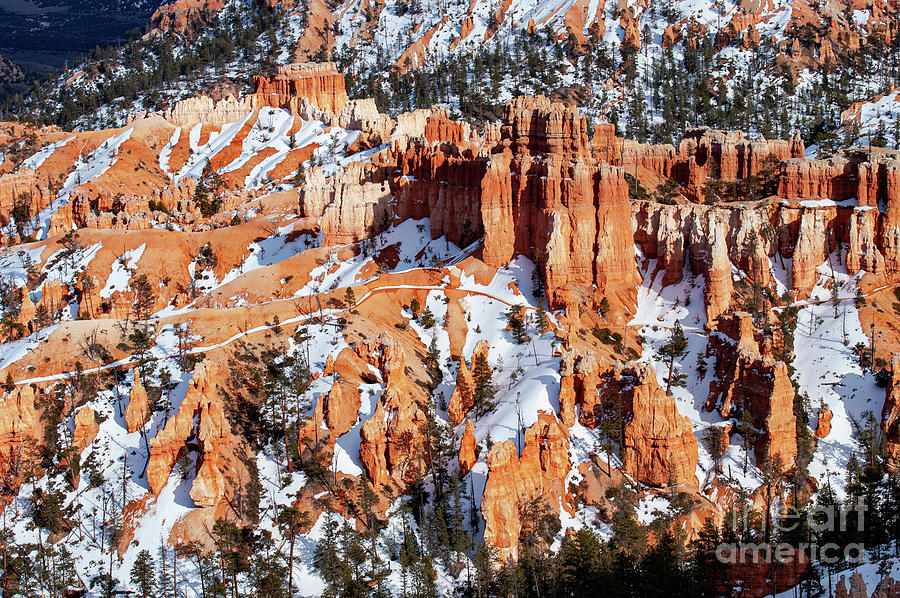 Snow in Bryce Canyon National Park Photograph by Bob Phillips