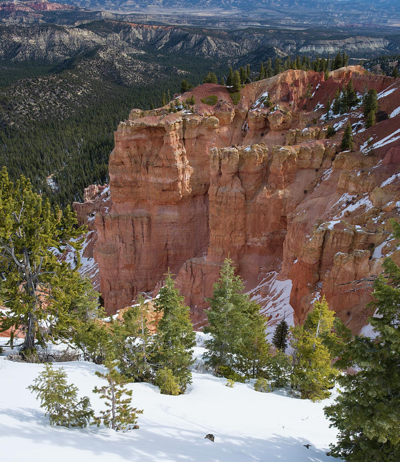 Snow in Bryce Canyon National Park Photograph by David L Moore