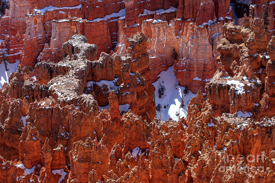 Snow in Bryce Canyon Three Photograph by Bob Phillips