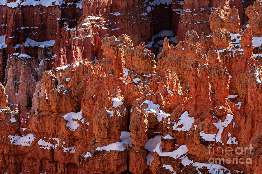 Snow in Bryce Canyon Two Photograph by Bob Phillips