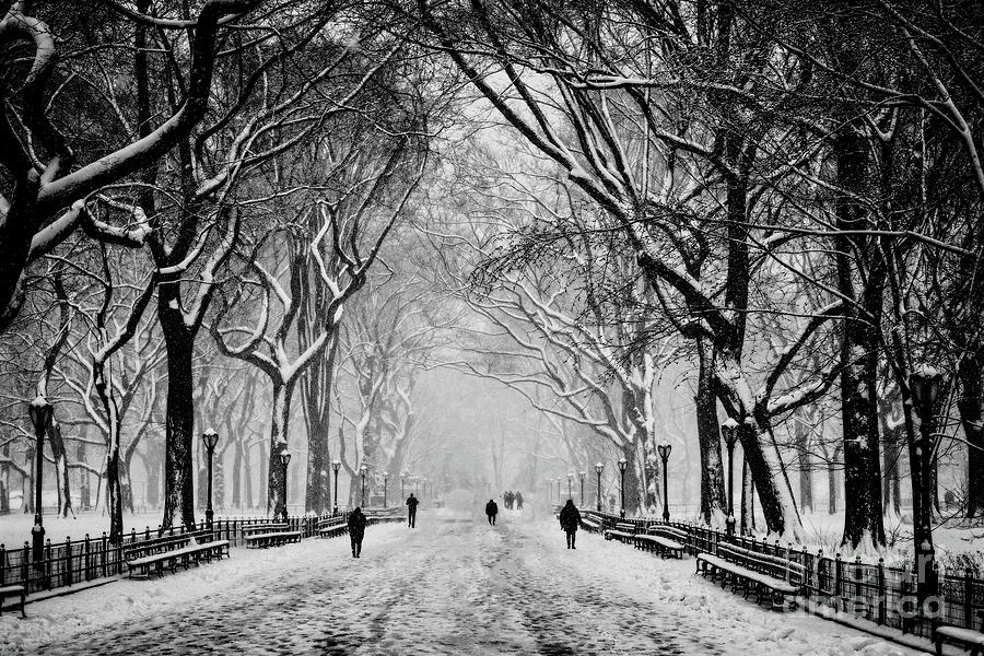 Snow in Central Park Photograph by Doc Braham - Fine Art America