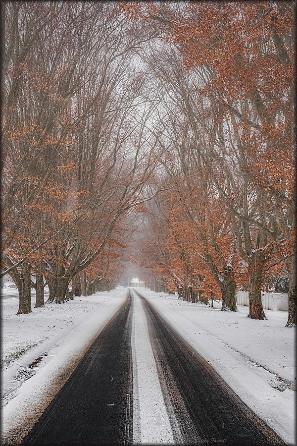 Snow in Fall Photograph by Erika Fawcett
