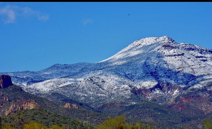 Snow in Scottsdale Photograph by Lisa Pandone Fine Art America